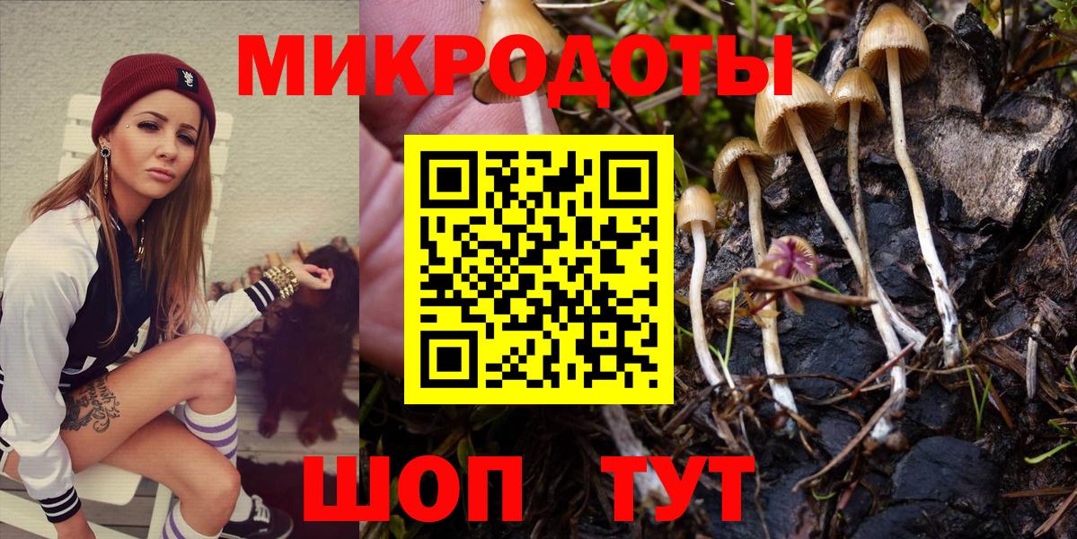 Псилоцибиновые грибы Psilocybine cubensis Россия